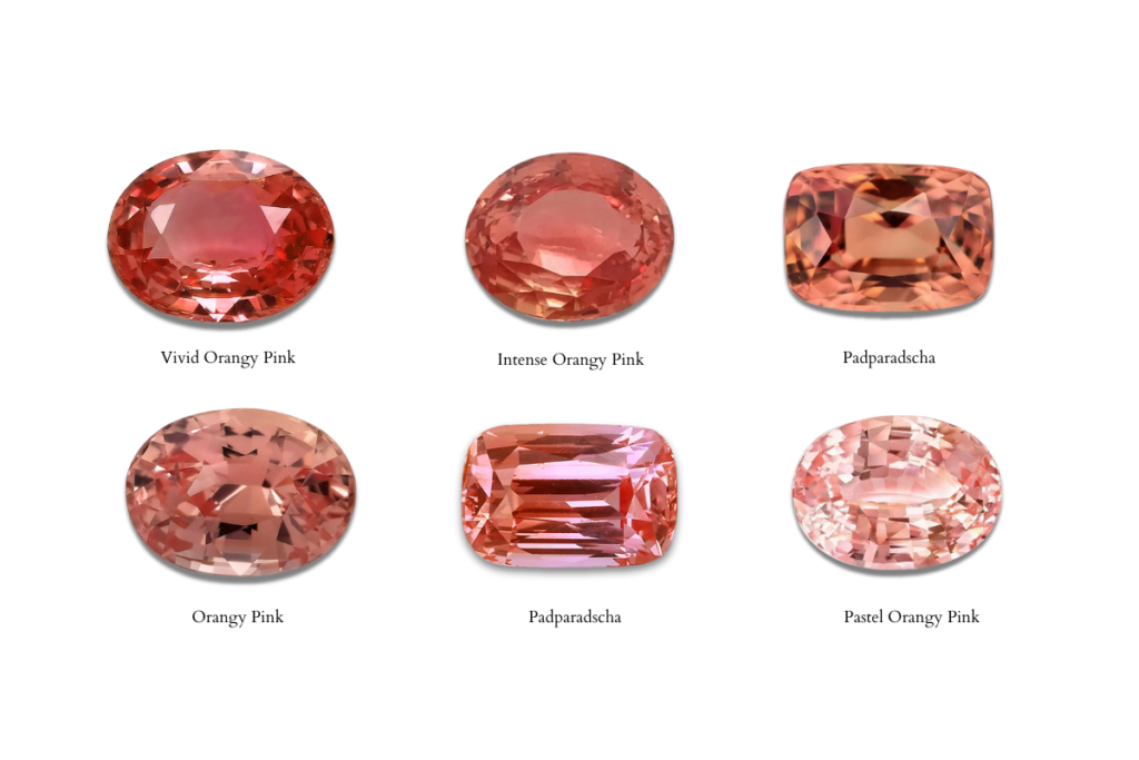 A graphic illustrating the spectrum often mistaken for padparadscha sapphires—from vivid orange on one end to light pastel pink on the other.